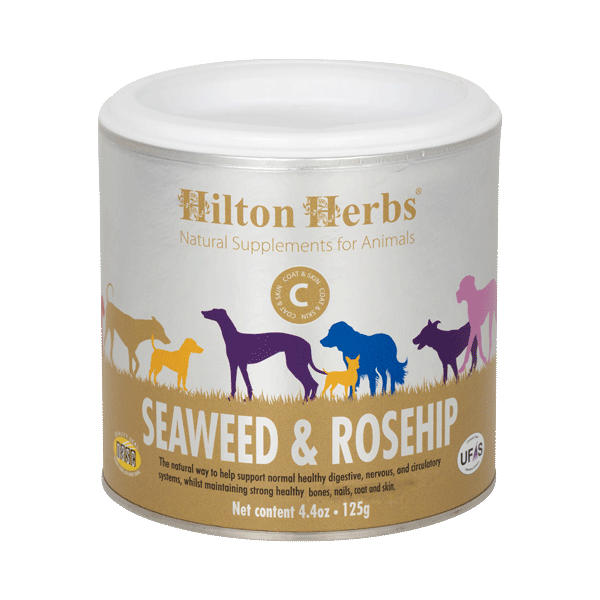 Un pot de Seaweed et Rosehip pour chien de Hilton Herbs
